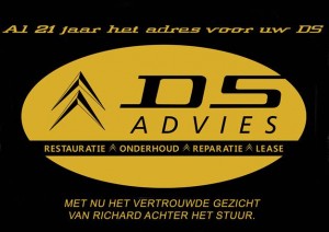 DSadvies